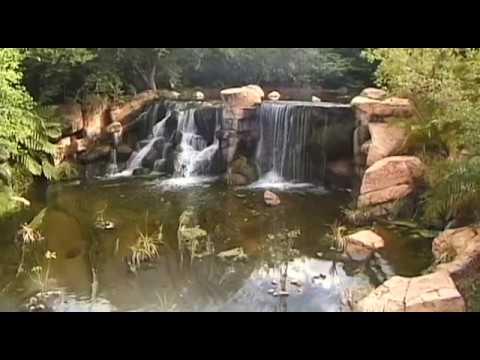 Sun City Vacation Travel Video Guide