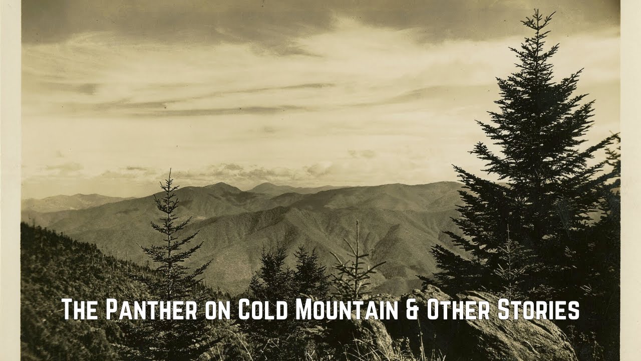 Escaped Panther?? - The Panther on Cold Mountain & Other Stories 1
