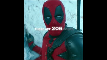 "Maximum Effort " - Deadpool & Wolverine | Assumptions (slowed down Version)