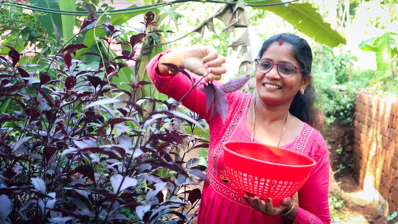 നിങ്ങൾ പറഞ്ഞത് ശെരിയാണ്! ഈ ഇല ഇങ്ങനെ ഉണ്ടാക്കാമെന്നോർത്തില്ല! | Arunodayam Cheera | Cheerulli Media