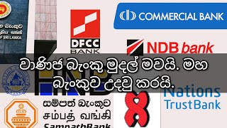 වාණිජ බැංකු මුදල් මවයි. මහ බැංකුව උදවු කරයි. #bank #sinhala #srilanka #investinsinhala #stockmarket