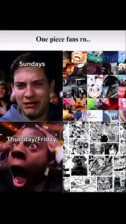 ONE PIECE FAN RN #anime #onepiece #luffy