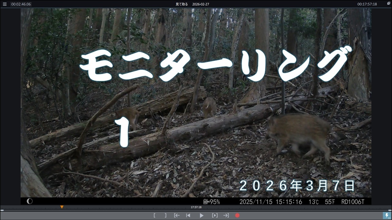 センサーカメラ見て罠をかけてみました　　2026 03 07