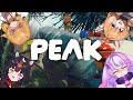 https://youtu.be/Z7u3TblOHlo
