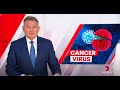 7 news australia  australian company imugene saving lives using a cancer eating virus