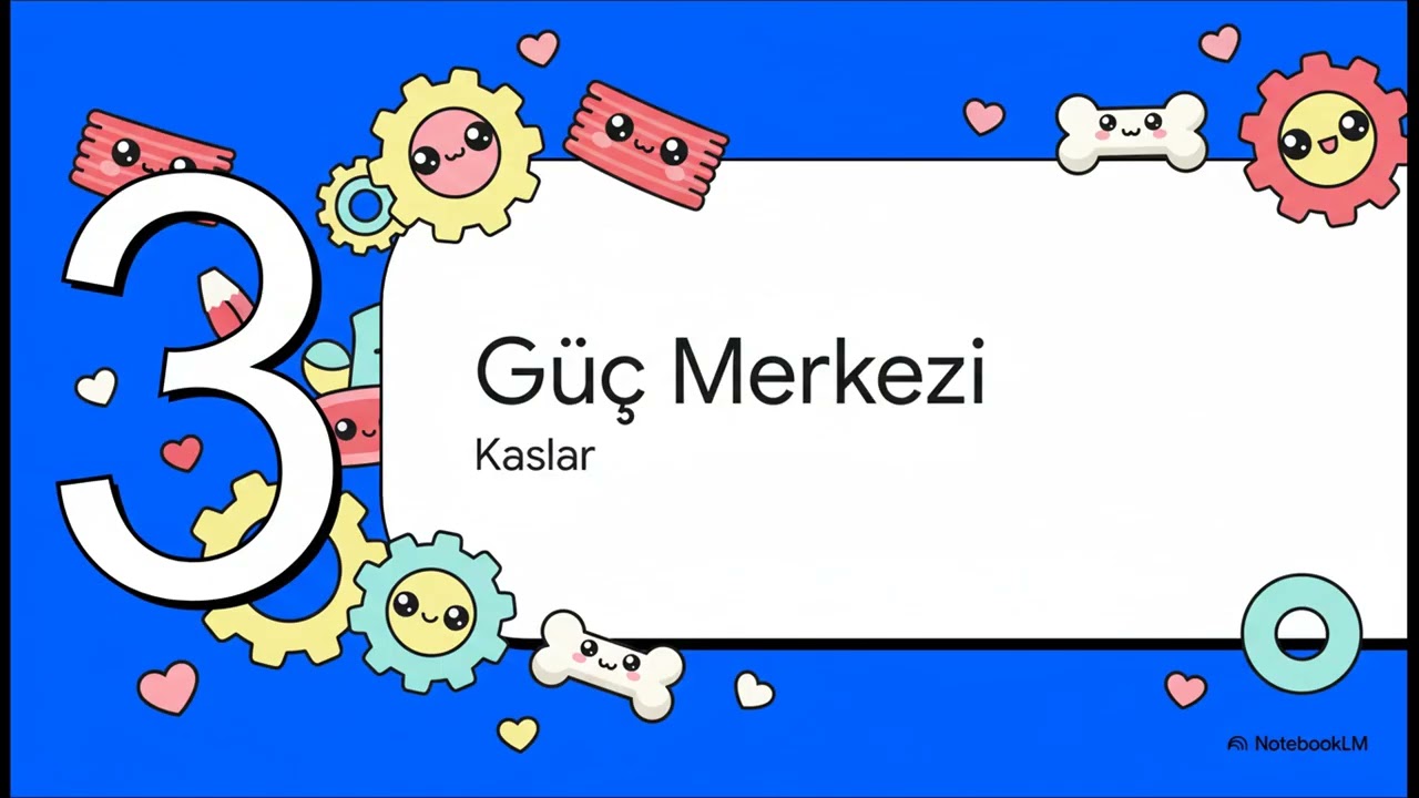 Destek hareket sistemi özel video💪🫀🦴