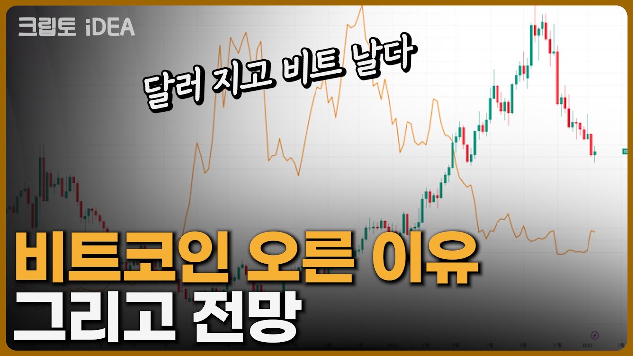 비트코인 상승 이유와 전망을 전해드립니다. [크립토 핫이슈]
