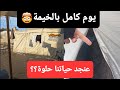 يوم كامل بالخيمة شايفين حياتنا حلوة 