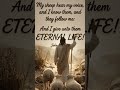#mysheep #god #love #jesus #life #inspiration #faith #praise #joy #strength #rejoice