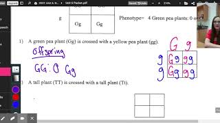 Punnett Square Practice