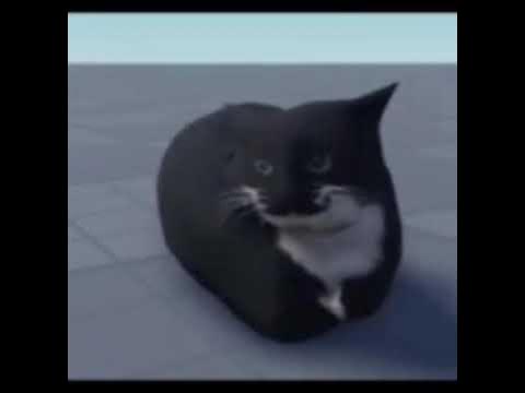 Мем с котом максвеллом