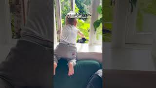 Crow Named Russell Waits For His Favorite Kid To Get Home From School | The Dodo