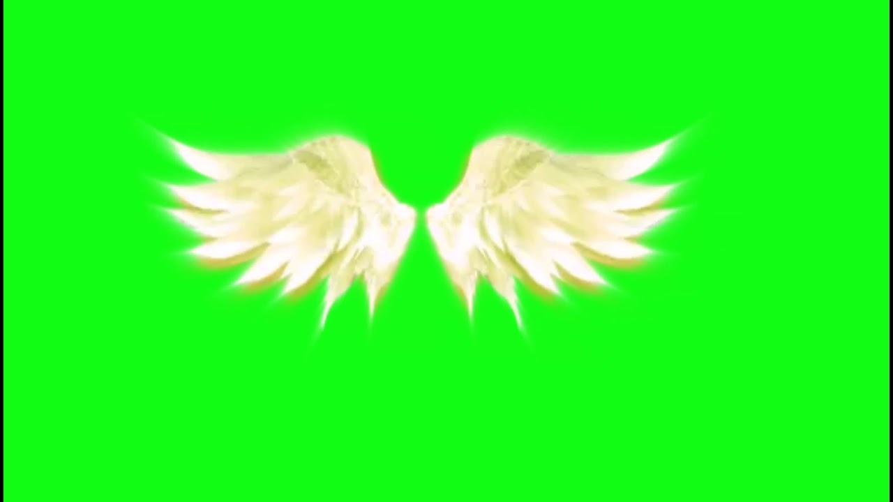 Moving Wings Green Screen
