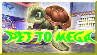 Wizard101 PET TO MEGA WHY DOES THIS ALWAYS HAPPEN EPISODE