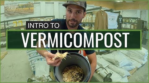 BuildASoil: BUILD A WORM BIN - How To Vermicompost