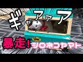 クロネコヤマトのダンボールトラックで暴走する猫！！