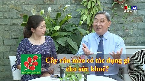 CÂY RÂU MÈO TRONG ĐIỀU TRỊ VÀ CHĂM SÓC SỨC KHOẺ - Lương Y Nguyễn Công Đức