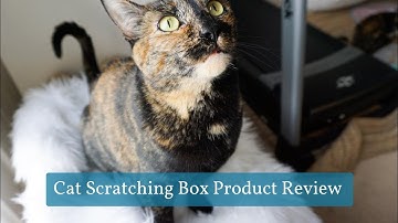 Reviewing the Conlun Cat Scratcher Box with Cat Scratching Pad