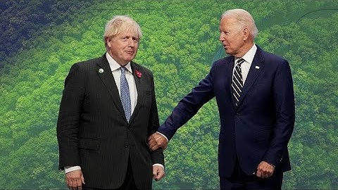 COP26 pledge to end deforestation by 2030: Landmark deal or rerun of past failures?