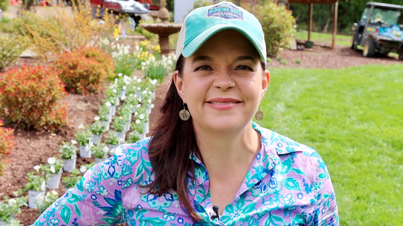 Planting Tips & Tricks For Gorgeous Supertunias - YouTube