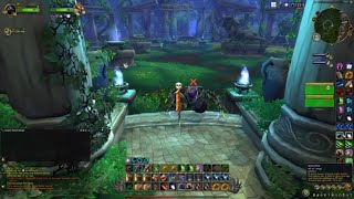 Dragonflight Guardian Druid PVP Skirmish