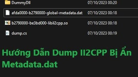 Hướng Dẫn Dump LibIl2cpp.so Protecd (P2)