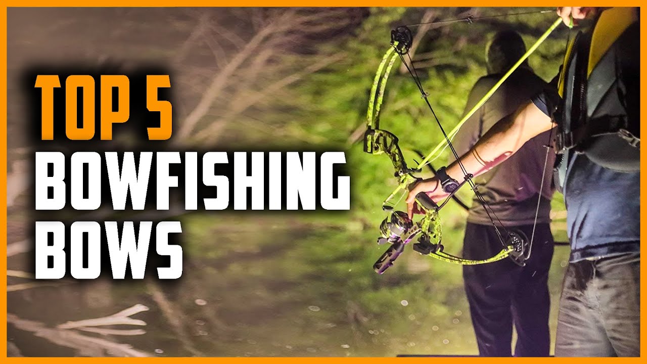Top 5 Best Bowfishing Bows in 2024 