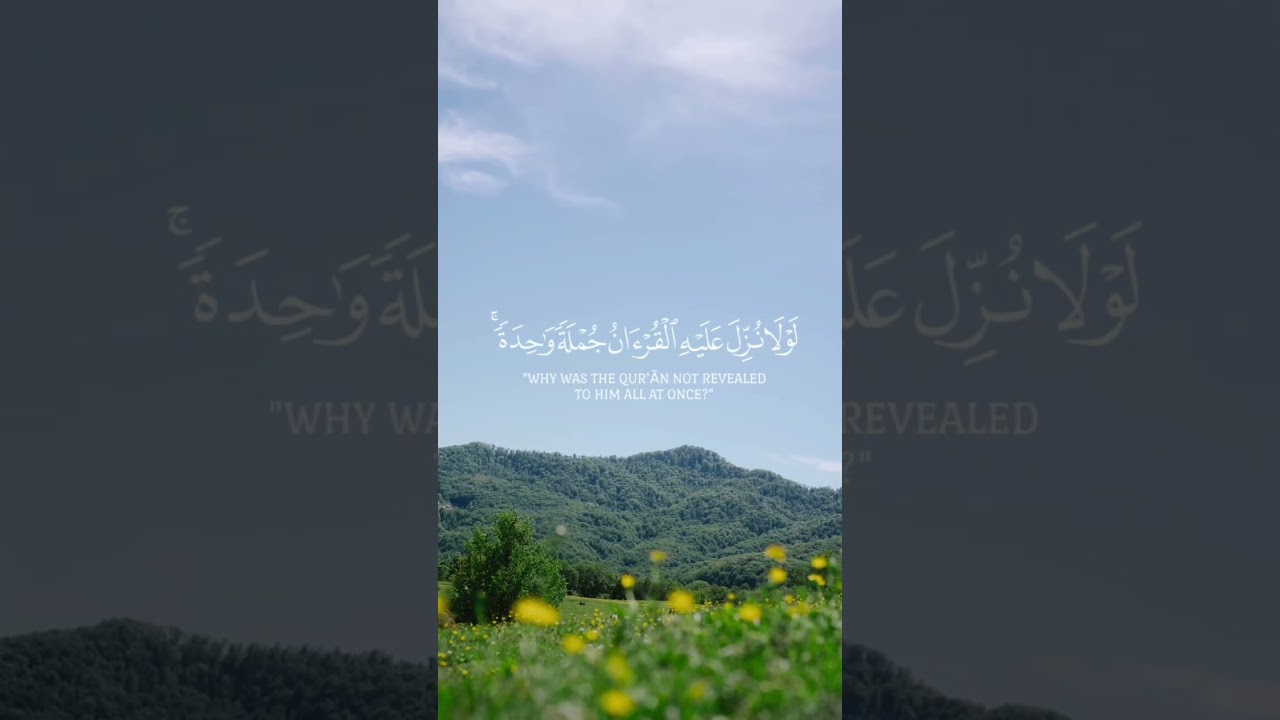 ما أجمل كلام الله، تلاوة خاشعة للقارئ حمزة الفار