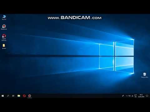 15 ფაქტი გაციების შესახებ