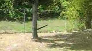chris machete throw