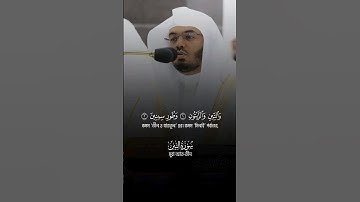سورة التين الشيخ ياسر الدوسري - Surah At-Tin Sheikh Yasser Al-Dosari