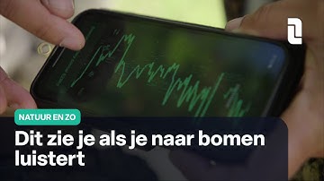 Pascal is boomluisteraar  | Natuur en Zo 🌿