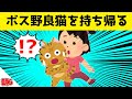 凶暴で有名なボス野良猫たちを小学生の妹がお持ち帰りした結果www【2chほのぼの】