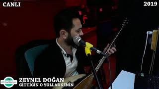 ZEYNEL DOĞAN GİTTİĞİN O YOLLAR SENİN Resimi