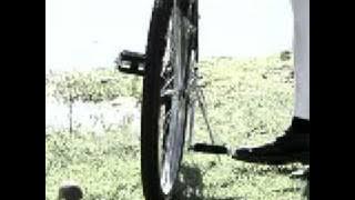 champagne - Glen Lewis