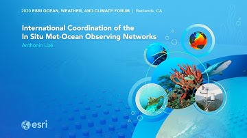 International Coordination of the In Situ Met-Ocean Observing Networks