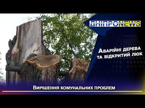 Аварійні дерева та відкритий люк: як вирішити проблеми