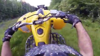 yfz 450 speed runs