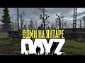 Stalker RP DayZ / Сталкер РП / Один на янтаре,пытаемся выжить за жмыха!