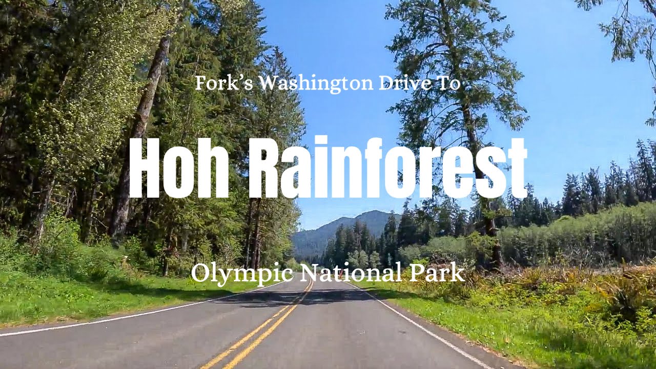 Fork’s Washington to Hoh Rainforest - Olympic National Park [4K] - YouTube