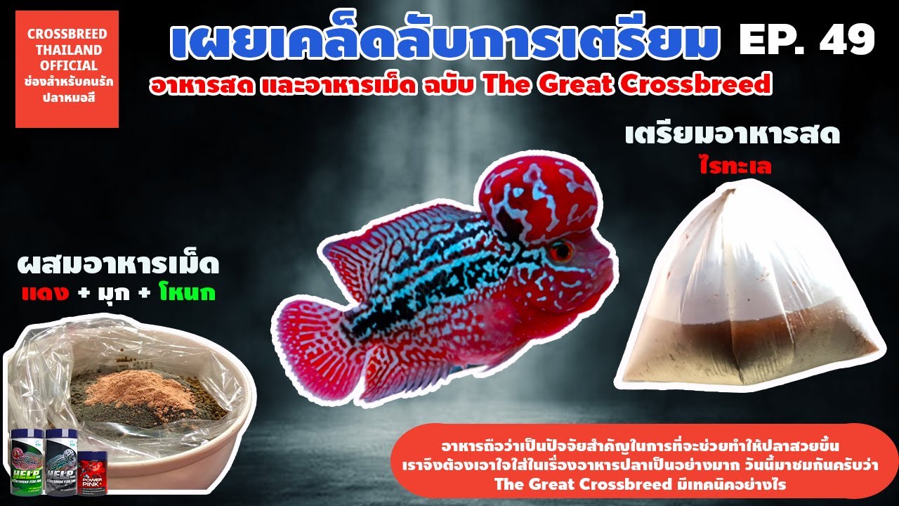 EP49 เคล็ดลับการเตรียมอาหารสด และเผยเทคนิคการผสมอาหารเร่ง แดง มุก โหนก