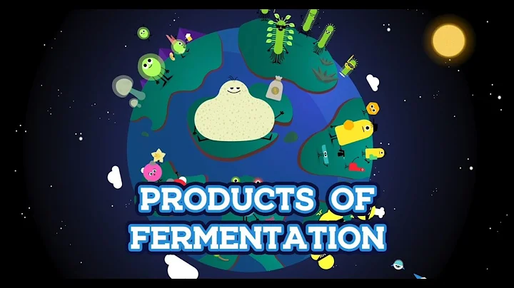 [Discovering the products of fermentation  Sourdou...