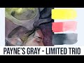 Payne's Gray!! Limited Palettes #4 - Watercolor Painting