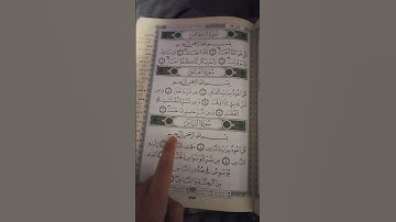 سورة الإخلاص و المعوذتين. #يارب #اكسبلور #اسئلة_دينية #لايك #القيام #راحة_نفسية
