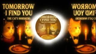 The Cats Whiskers - Tomorrow I Find You