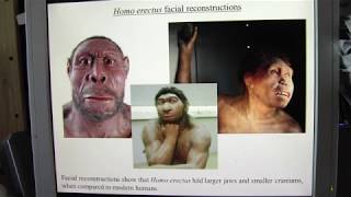 Download Lagu Meet the ancestors... Dmanisi 3: a Homo erectus georgicus teenager with very large teeth MP3 Download Lagu Meet the ancestors... Dmanisi 3: a Homo erectus georgicus teenager with very large teeth MP3