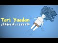 Teri Yaadan [slowed + reverb] - Pav Dharia | slow diary