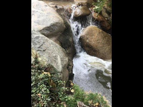 1157 VIA MONTOYA, Camarillo, CA home video tour