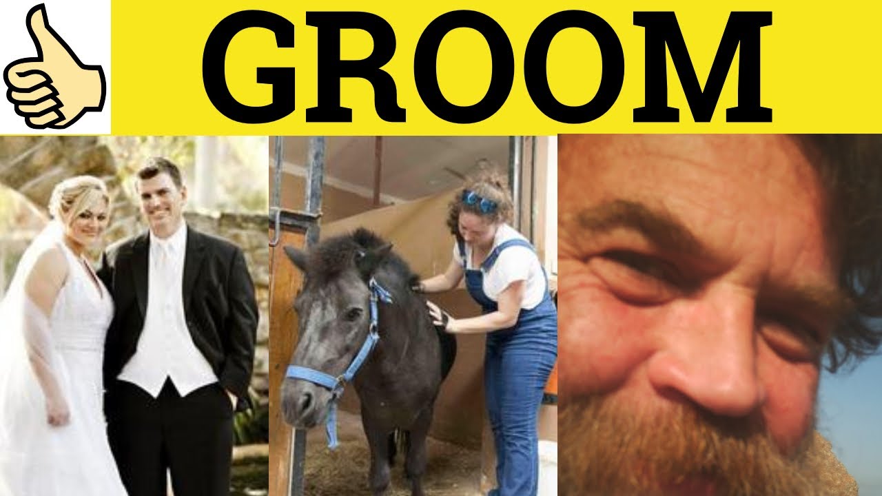  Groom Groom Meaning Groom Examples Groom Definition Essential 