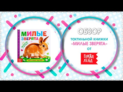 🐶🐋🐏Обзор тактильной книжки Милые зверята от БУКВА ЛЕНД